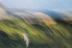 AlanKlughammer.com_20150713-20150713-_AKP0737-Edit