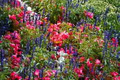 AlanKlughammer.com_20220927-_8501141