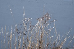 AlanKlughammer.com_20221004-_AK50424