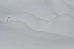 AlanKlughammer.com_20221220-_AK50710