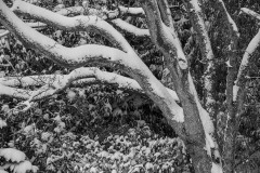AlanKlughammer.com_20221220-_AK50783