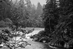 AlanKlughammer.com_20160522-_AKP1707