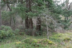 AlanKlughammer.com_20180215-_AK50317