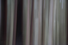 AlanKlughammer.com_20180224-AK5_0632