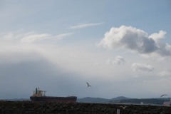 AlanKlughammer.com_20180304-_AK50788