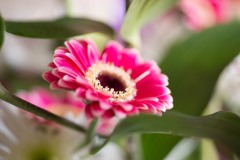 AlanKlughammer.com_20180331-_6100266