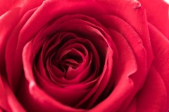AlanKlughammer.com_20180331-_AK51473