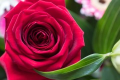 AlanKlughammer.com_20180331-_AK51549