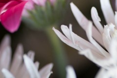 AlanKlughammer.com_20180331-_AK51580
