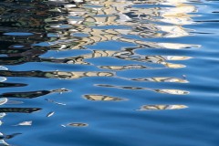 AlanKlughammer.com_20190113-_AK56473