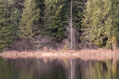 AlanKlughammer.com_20190402-_AK57645