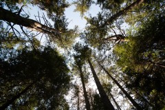 AlanKlughammer.com_20190420-20190420-_AK57835-2
