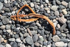 AlanKlughammer.com_20190804-20190804-_AK50046-2