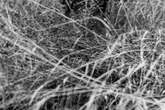AlanKlughammer.com_ET_BW