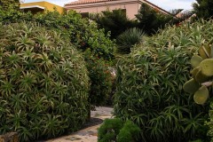 AlanKlughammer.com__AK51430