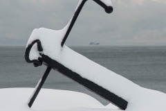 AlanKlughammer.com_20200115-_AK52278