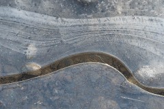 AlanKlughammer.com_20201224-_AK55714