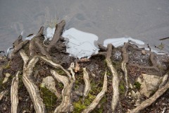 AlanKlughammer.com_20210123-_6102548