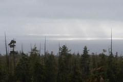 AlanKlughammer.com_20210206-_AK55868