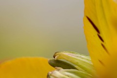 AlanKlughammer.com_20210307-_AK55989