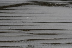 AlanKlughammer.com_20210402-_AK56088