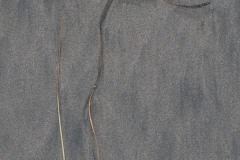 AlanKlughammer.com_20210402-_AK56107