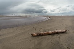 AlanKlughammer.com_20210402-_AK56125-Edit