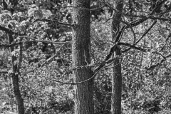 AlanKlughammer.com_20210918-_AK57093