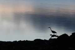 AlanKlughammer.com_20211013-_AK57643