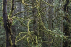 2023 - low res 