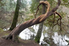 AlanKlughammer.com_20210116-_AK55754