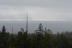 AlanKlughammer.com_20210206-_AK55860