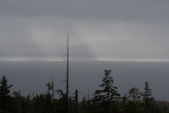 AlanKlughammer.com_20210206-_AK55865