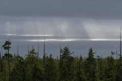 AlanKlughammer.com_20210206-_AK55871