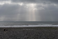 AlanKlughammer.com_20210206-_AK55881