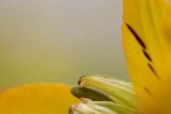 AlanKlughammer.com_20210307-_AK55989