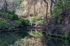 AlanKlughammer.com_20210313-_6102636