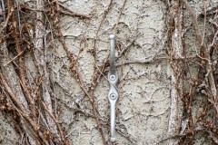 AlanKlughammer.com_20210313-_6102730