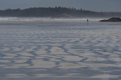Long Beach Waves