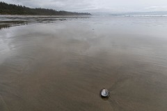 AlanKlughammer.com_20210403-_AK56266