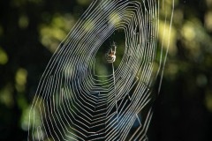 AlanKlughammer.com_20210916-_AK57085
