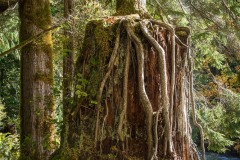 AlanKlughammer.com_20211011-_AK57498