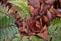 AlanKlughammer.com_20230117-_AK50835
