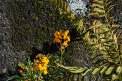 AlanKlughammer.com_20230124-_AK50970