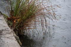 AlanKlughammer.com_20230207-_AK51044