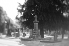 AlanKlughammer.com_20230826-_8503617