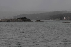 AlanKlughammer.com_20231111-_AKP0545