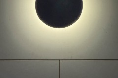 AlanKlughammer.com_IMG_0782