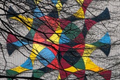 AlanKlughammer.com_20240210-_AKP0909