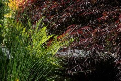 AlanKlughammer.com_20240608-_8505512